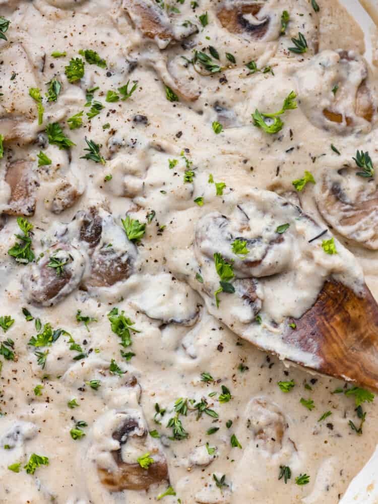 Resep Mushroom Sauce Rumahan tapi Rasa Restoran Bintang Lima, Anti Ribet dan Irit Budget