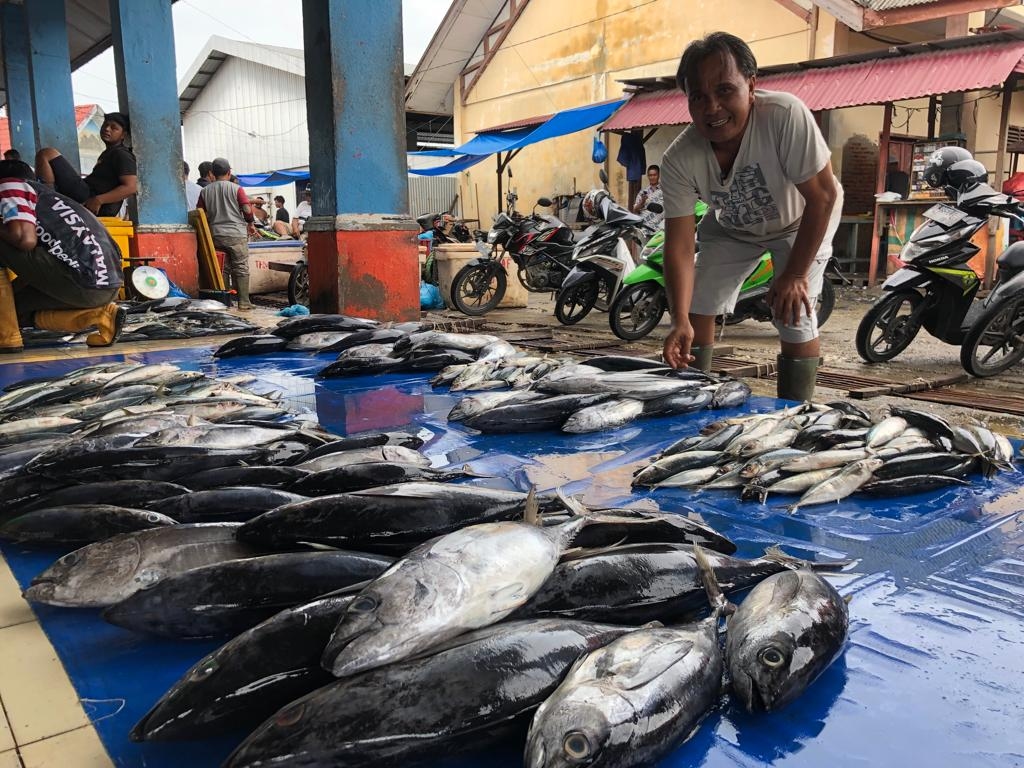 Jangan Sampai Tertipu! Ini 5 Tips Memilih Ikan Segar di Pasar atau Supermarket, Dijamin Mudah dan Paten