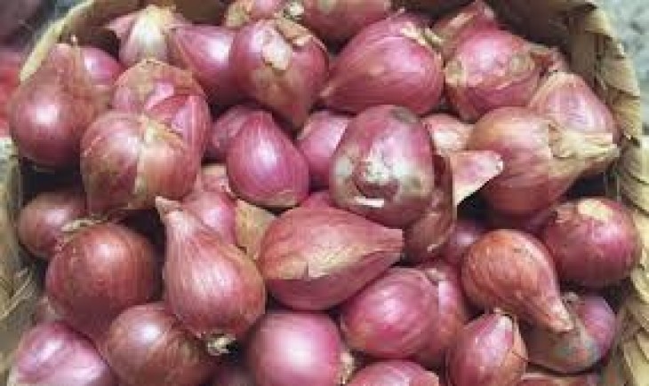 9 Manfaat Bawang Merah untuk Kesehatan, Mulai dari Mencegah Kanker Hingga Obat Jerawat