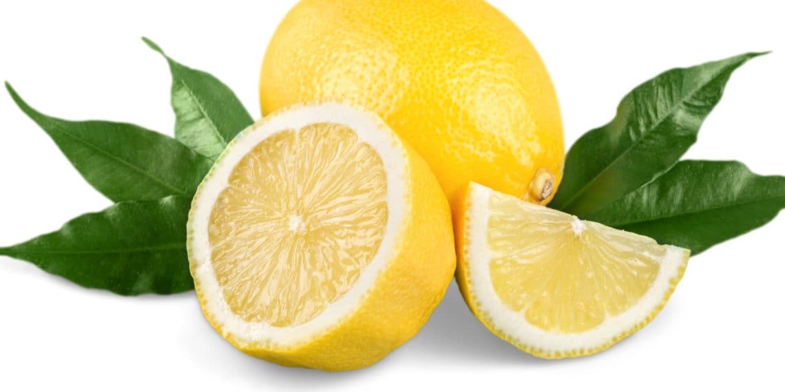 Manfaat Jeruk Lemon untuk Kecantikan, Atasi Flek Hitam dan Kerutan di Wajah Akibat Terik Matahari, Begini Cara Penggunaannya!