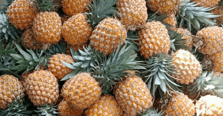Baru Tahu! Makan Nanas Madu Pada Malam Hari Ternyata Bagus untuk Kesehatan, Salah Satunya Dapat Mencegah Penuaan Dini