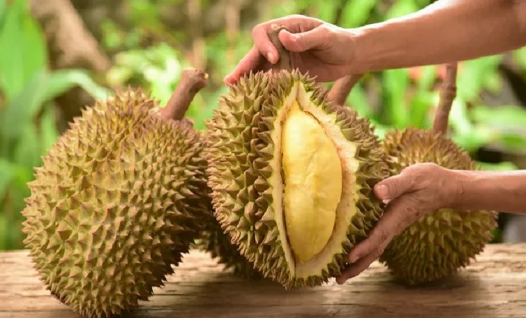 8 Manfaat Buah Durian untuk Tubuh, Nomor 2 Paling Penting