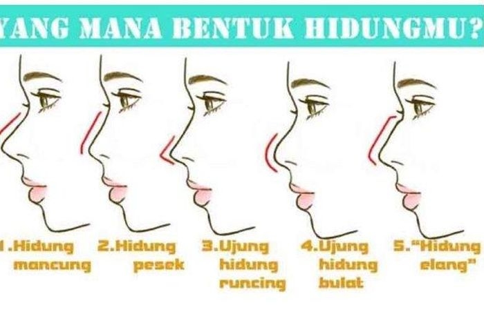 5 Bentuk Hidung dan Kaitannya dengan Kepribadian Seseorang, Punya Kamu Termasuk yang Mana? Simak Selengkapnya di Sini