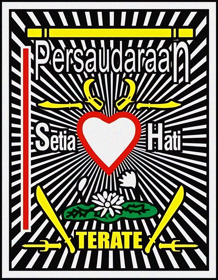 Hati Putih Bersinar pada Lambang PSHT Ternyata Punya Makna Mendalam