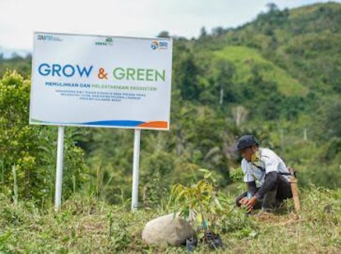 Gelar Program BRI Menanam Grow & Green di Hari Lingkungan Hidup Sedunia, Wujud Nyata Pemulihan Ekosistem dan Melawan Perubahan Iklim