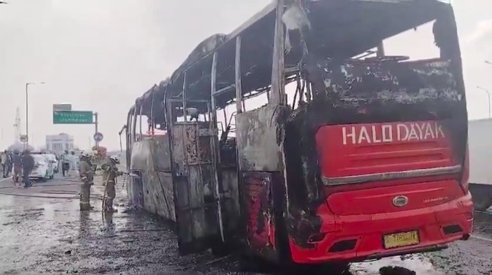 Bawa 54 Penumpang, Bus Pariwisata HALO DAYAK Terbakar di Tol Tanjung Priuk, Begini Kronologinya