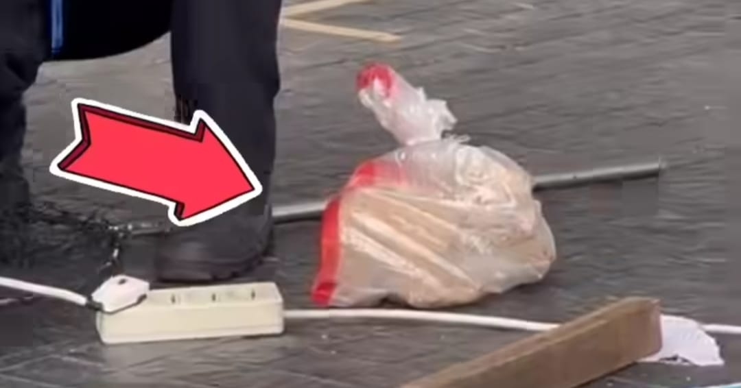 VIRAL! Petugas Insekta Masukin Kucing Liar di Kawasan GBK ke dalam Karung Plastik, Pihak Terkait Klarifikasi dan Minta Maaf