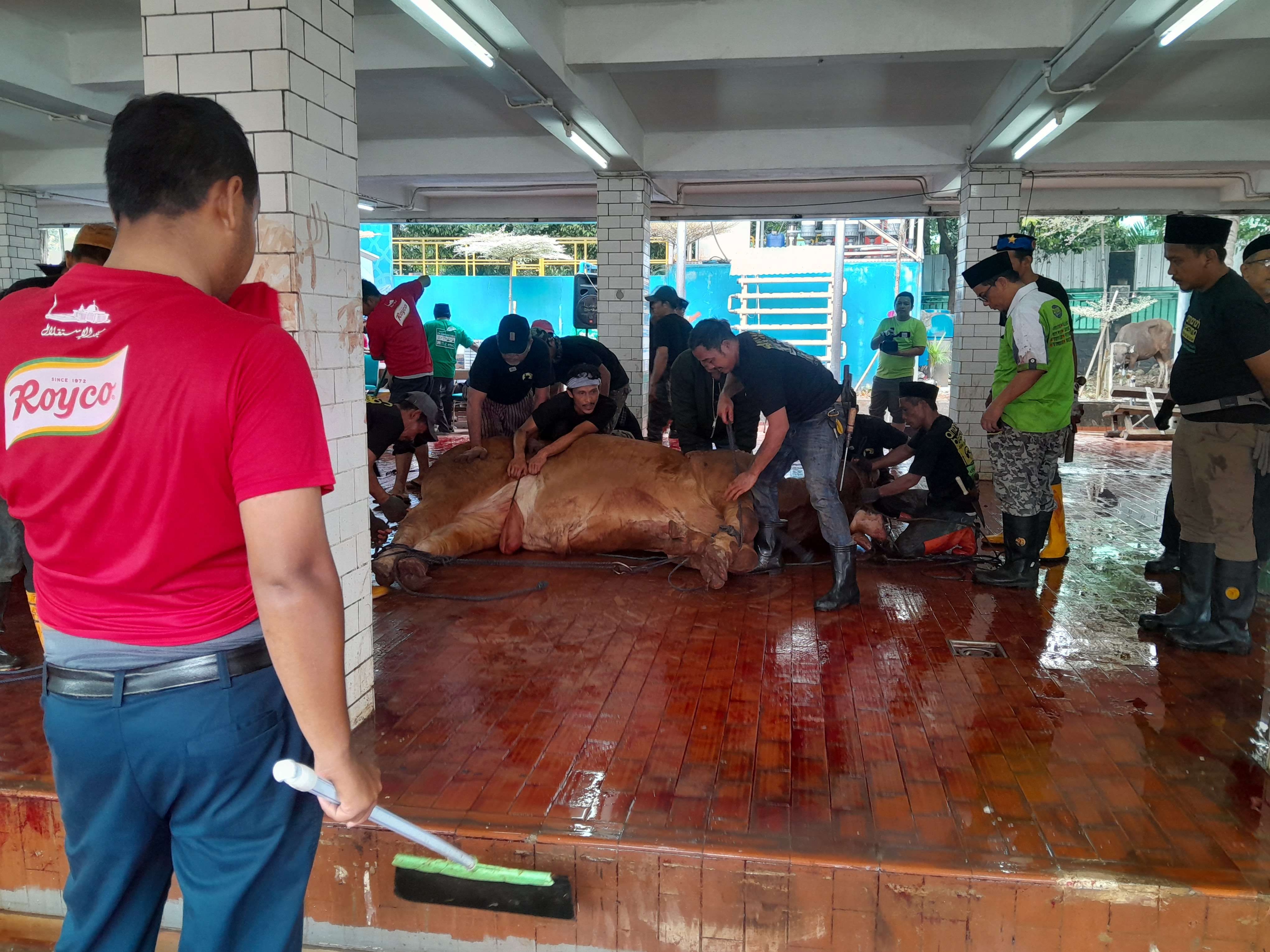 Masjid Istiqlal Mulai Sembelih Hewan Qurban Hari Ini, Ingat! Tidak Ada Pembagian Daging di Lokasi