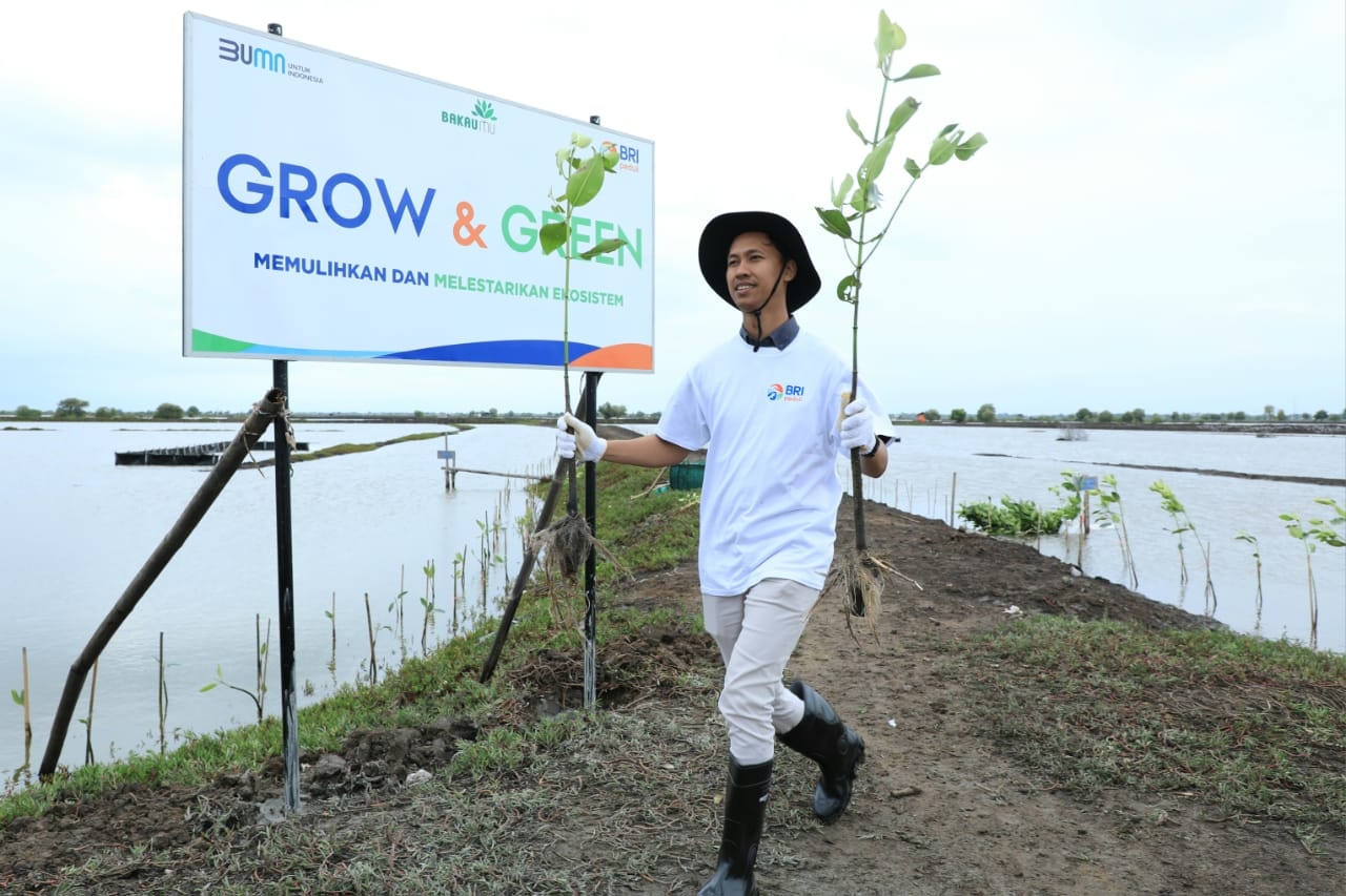Pengelolaan Risiko ESG Kuat, BRI Raih Predikat Low Risk dari Sustainalytics, Membuktikan Kinerjanya Terus Membaik