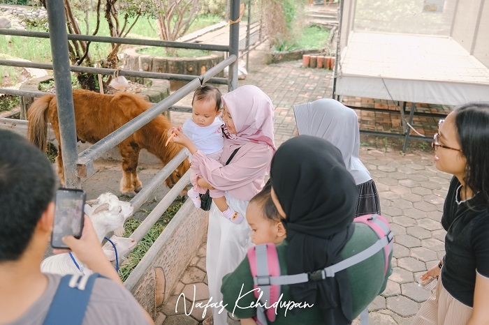 Begini Keseruan dan Keceriaan Playbear Kids Fest 2024 di Nassa Valley