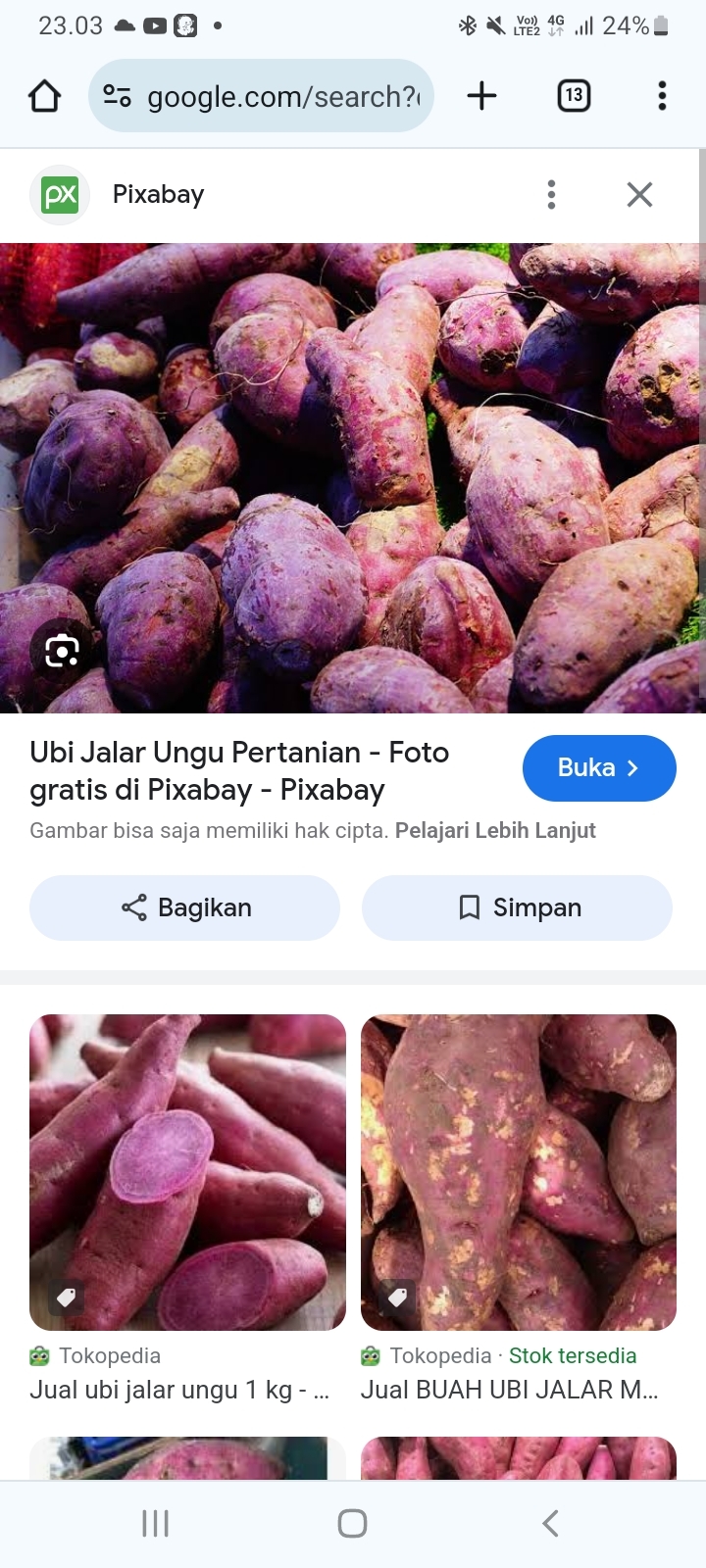 Ahli Diet dari India Masukan Ubi Jalar dalam Daftar Makanan Padat Nutrisi, Ini Manfaatnya