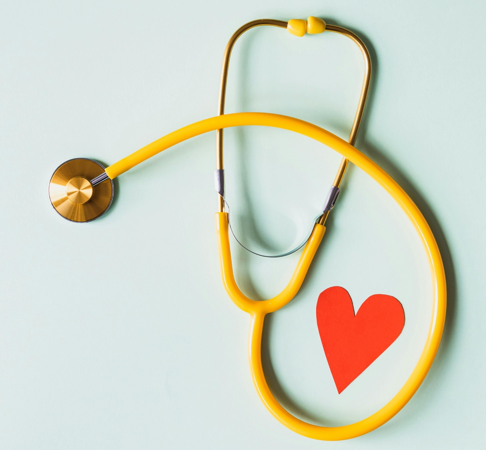 Tidak Selalu Jahat, Ternyata Lemak Juga Bisa Menyehatkan Jantung