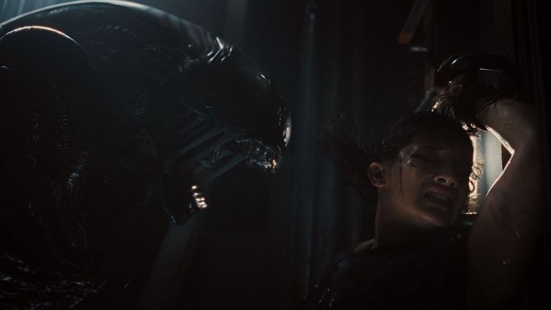 Lebih Dekat dengan Alien: Romulus, Hidupkan Kisah Klasik dengan Cerita yang Modern, Simak Sinopsisnya