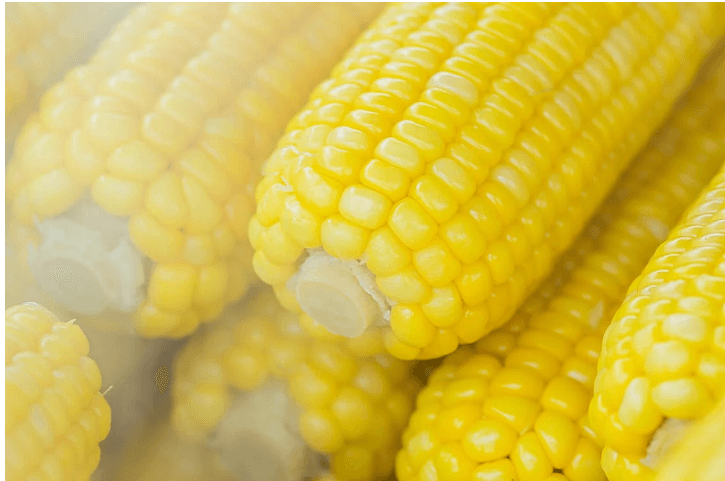 Studi Baru: Produk Rendah Gula dengan Pemanis Buatan Seperti Gula Jagung Ternyata Bisa Tingkatkan Resiko Serangan Jantung dan Stroke