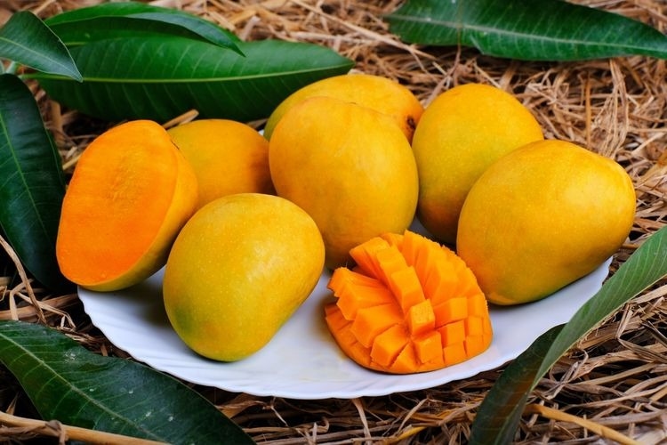 Lagi Musim Buah Mangga Nih! Ketahui 7 Manfaatnya untuk Kesehatan, dari Menurunkan Tekanan Darah hingga Mencegah Sakit Jantung