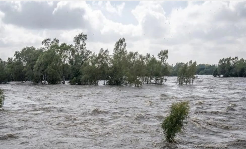 Ngeri, Gegara Gagal Atasi Banjir di Korea Utara, Kim Jong Un Eksekusi Mati 30 Pejabat Pemerintah