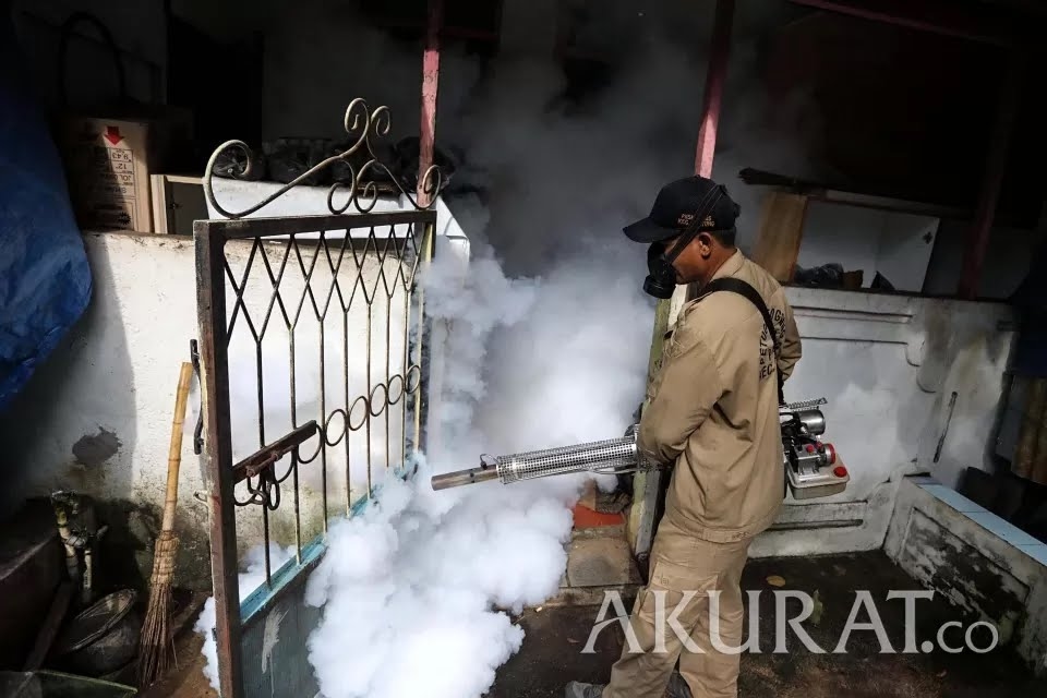 Penyebaran Nyamuk Wolbachia Bakal Digelar di Jakbar, DPRD DKI Minta Dinkes DKI Lakukan Sosialisasi