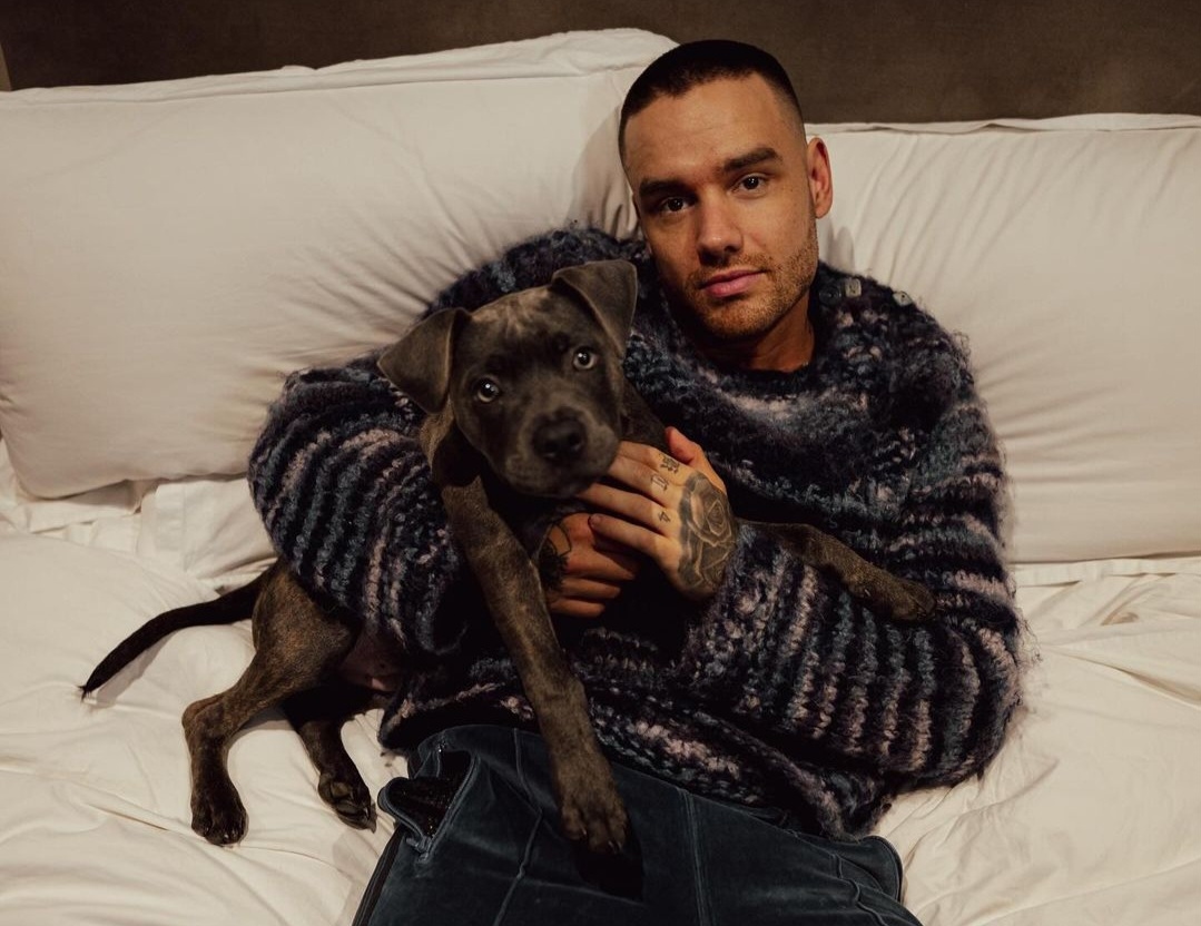 Sebelum Meninggal, Manajer Hotel Sempat Mendengar Keributan di Sekitar Tempat Liam Payne Menginap, Sempat Ada Cekcok?