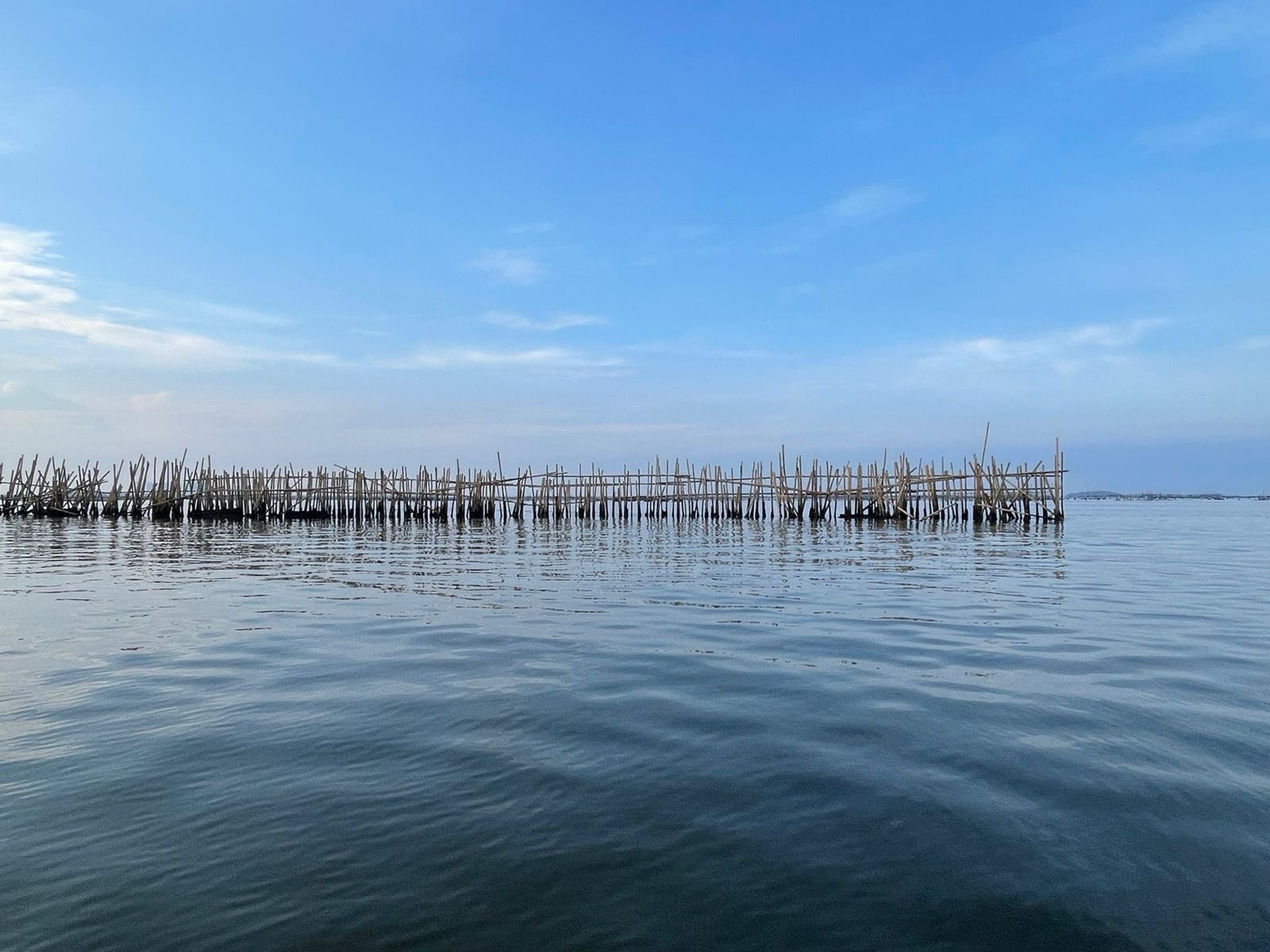 Tak Hanya di Tangerang, Pagar Laut Sepanjang 500 Meter Juga Ditemukan di Pulau C Reklamasi Jakarta Utara, Dinas KPKP: Tak Ada Penambahan Volume!