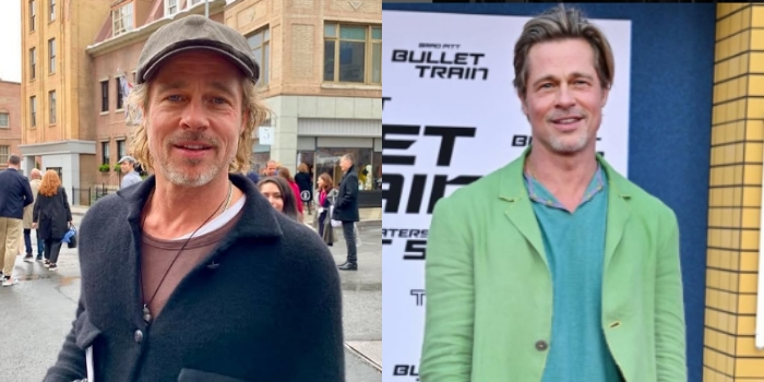 Ditipu Brad Pitt Palsu, Wanita 53 Tahun Ini Kehilangan Rp13 Miliar Uang