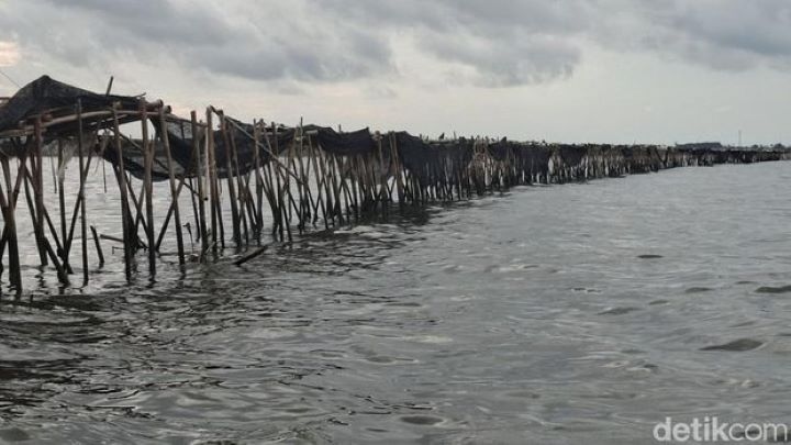 Buntut Sertifikat HGB Pagar Laut Tangerang: 6 Pejabat BPN Dipecat, 2 Disanksi Berat, Berikut Nama-Namanya!