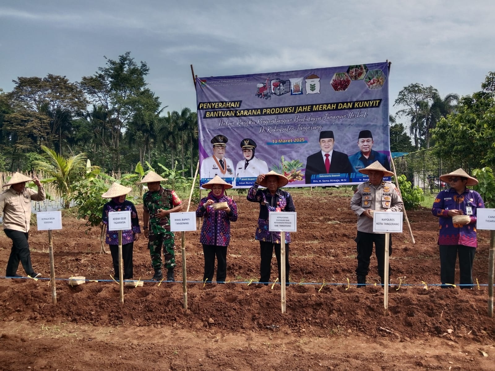 Serahkan Bantuan Sarana Pertanian Budidaya Jahe Merah dan Kunyit kepada 19 Poktan se-Kabupaten Tangerang, Ini Harapan Wakil Bupati Intan Nurul Hikmah