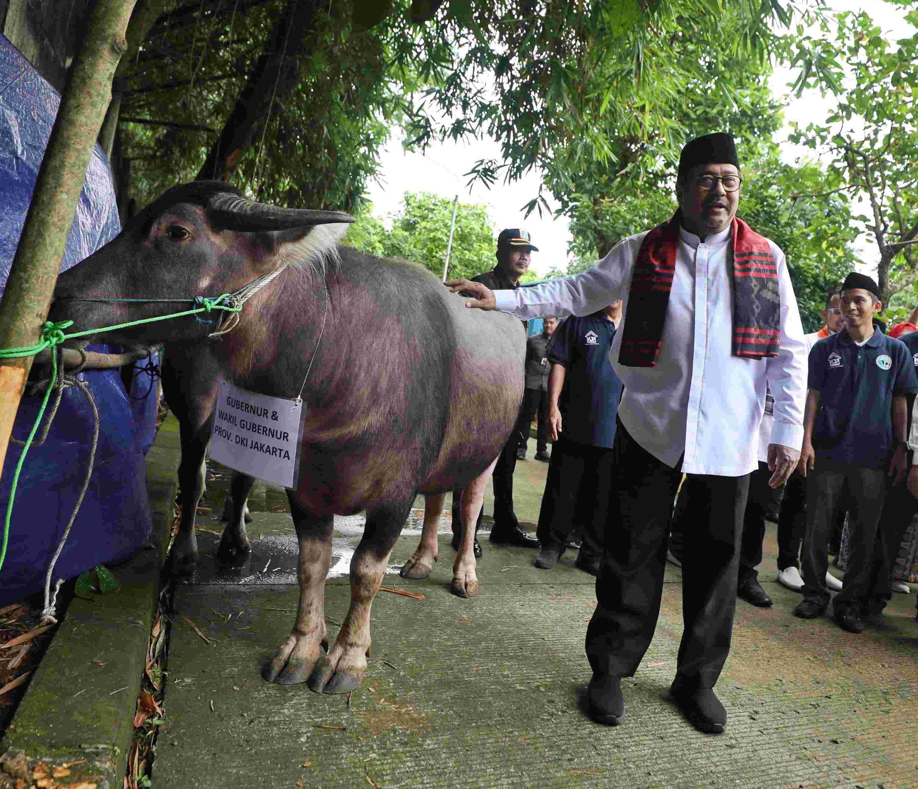 Hadiri Tradisi Andilan Potong Kebo di Ragunan, Rano Karno: Air Mata Menetes Melihat Tradisi Ini Masih Ada
