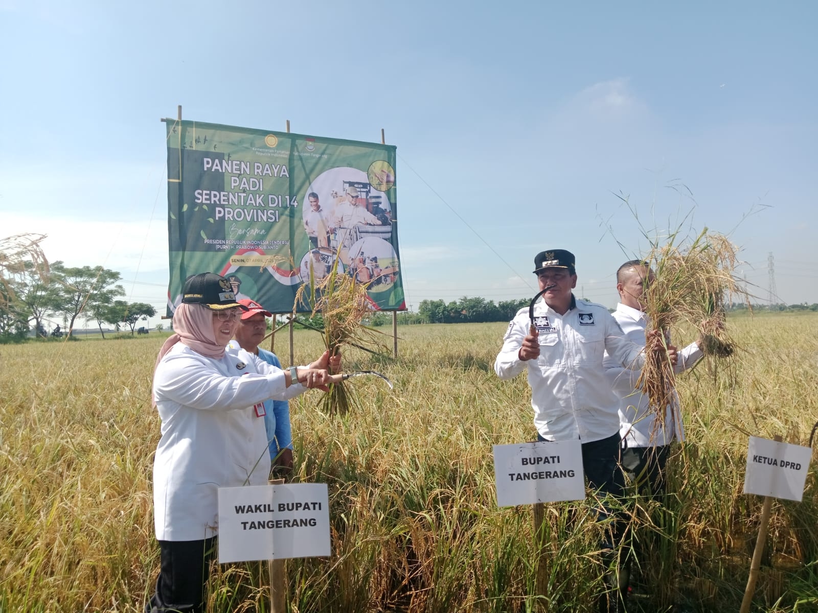 Hadiri Panen Raya Serentak Bersama Presiden Prabowo, Bupati Maesyal Puji Keberhasilan Petani Kabupaten Tangerang dalam Program Ketahanan Pangan