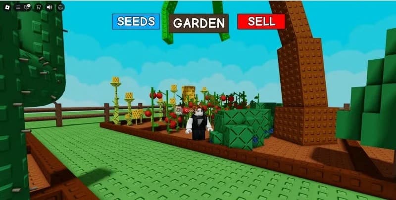 Ternyata Ini Cara Cepat Kumpulkan Uang di Game Roblox Grow A Garden