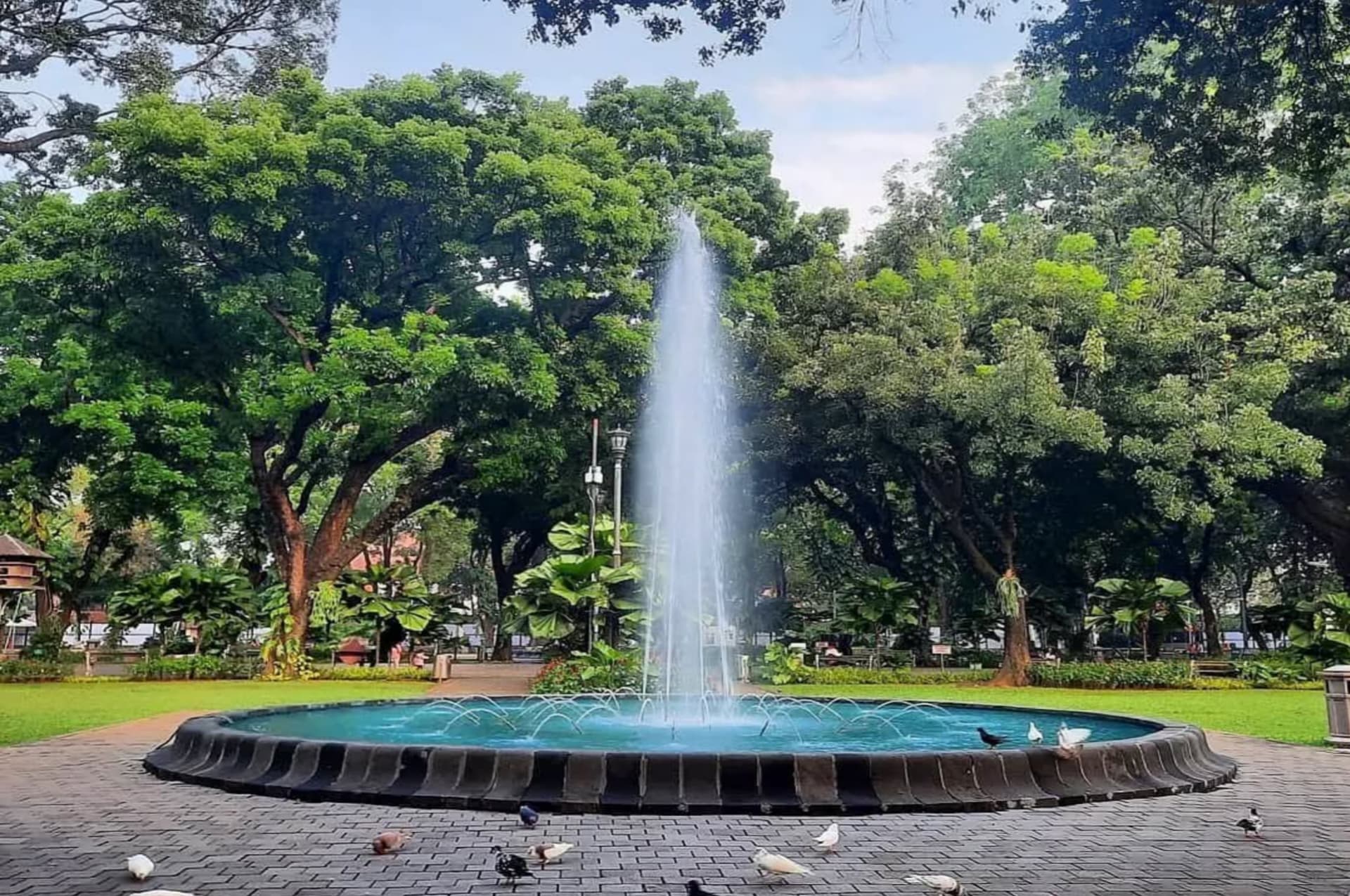 Taman Paling Romantis di Jantung Jakarta: Menelusuri Keindahan Taman Suropati