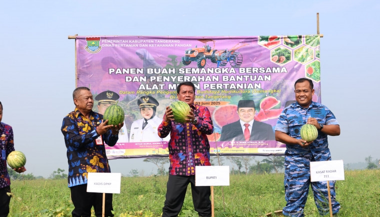 Panen Semangka Bersama Kelompok Tani Buaran Asem di Kecamatan Mauk, Bupati Tangerang Serahkan Bantuan Alsintan Traktor Roda Dua dan Empat