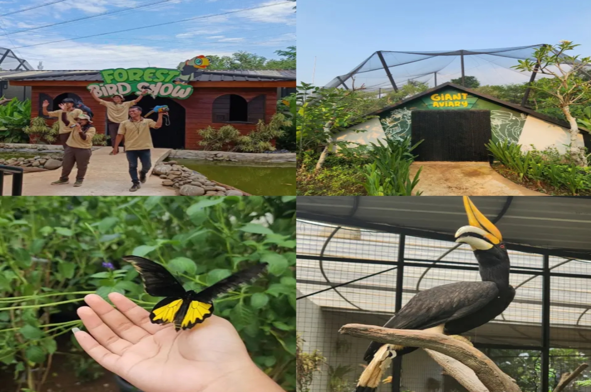 Aviary Park Bintaro: Surga Mini Zoo Edukatif di Tengah Kota Tangerang Selatan