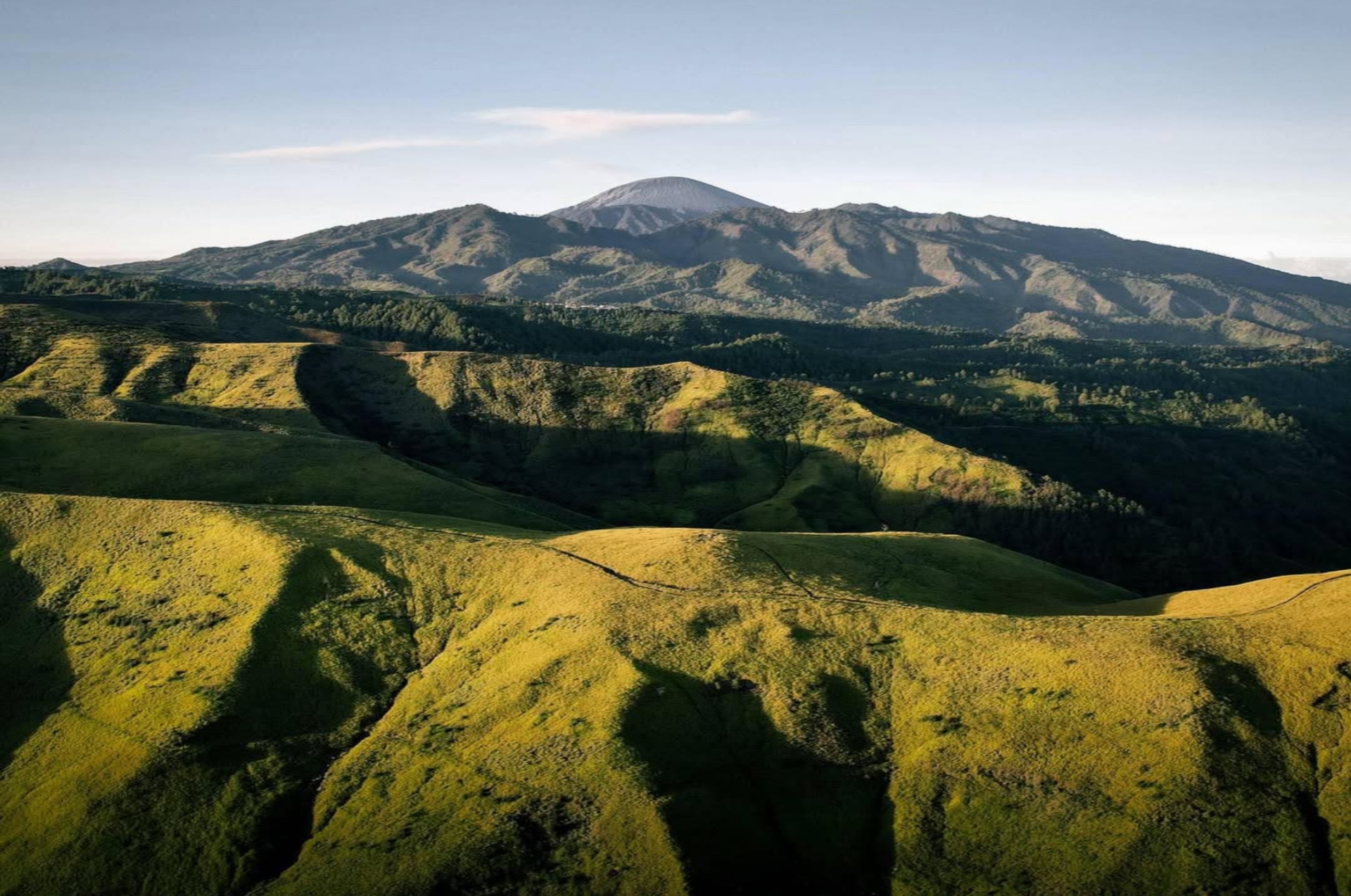 Bukit Kandang Pasuruan, Hidden Gem Rasa Luar Negeri yang Lagi Viral