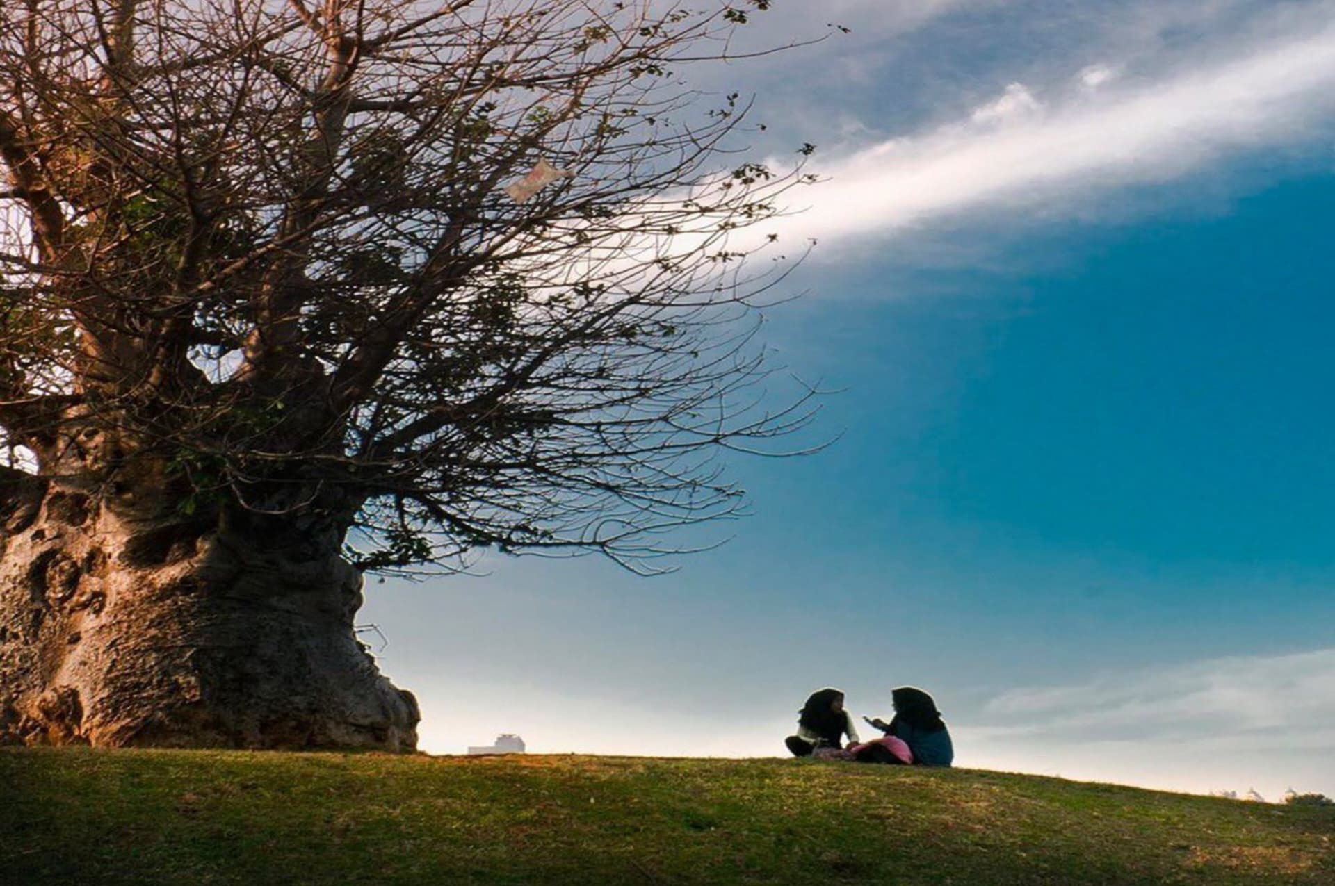 Waduk Ria Rio: Spot Wisata Menenangkan di Tengah Riuh Ibu Kota