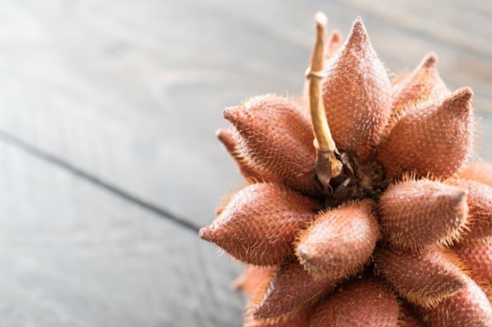 Rahasia Sehat Tersembunyi di Dalam Buah Salak, Nomor 7 Tak Terduga!
