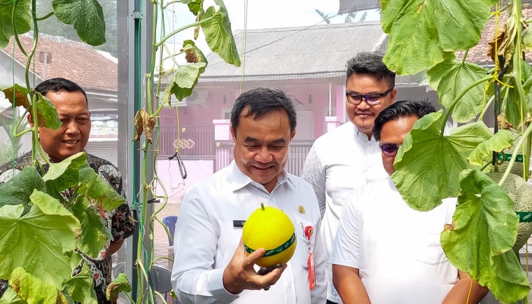 Sekda Soma Apresiasi Melonial Hydrofarm: Kebun Melon Hidroponik di Kabupaten Tangerang, Dikelola Anak Muda, Dukung Ketahanan Pangan Daerah