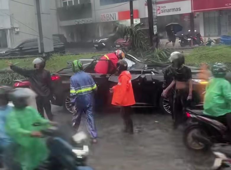 Viral! Pengemudi Mobil Lexus Tewas Tertimpa Pohon Tumbang di Jalan Metro Pondok Indah, Pemprov DKI Buka Suara