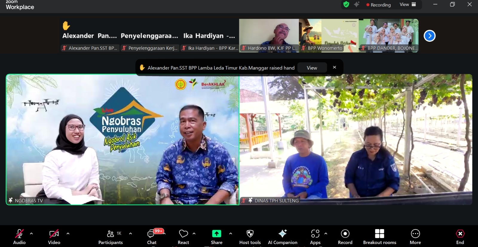 Ngobras Penyuluhan: Anggur Duyu Palu dan Peluang Emas Peningkatan Produktivitas