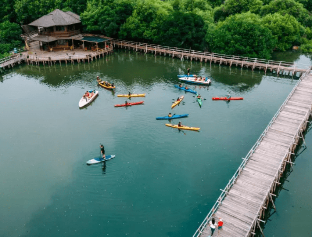 Wisata Tanam Mangrove di TWA Angke Kapuk, Seru dan Penuh Edukasi
