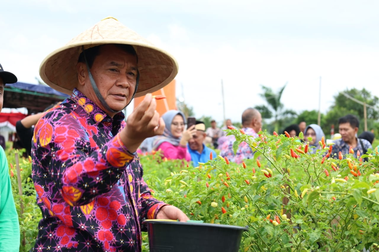 Panen Raya Cabai Rawit Setan Bersama Kelompok Tani Berenuk, Bupati Tangerang: Pendapatannya Cukup Untuk Memenuhi Kebutuhan Sehari-hari Para Petani