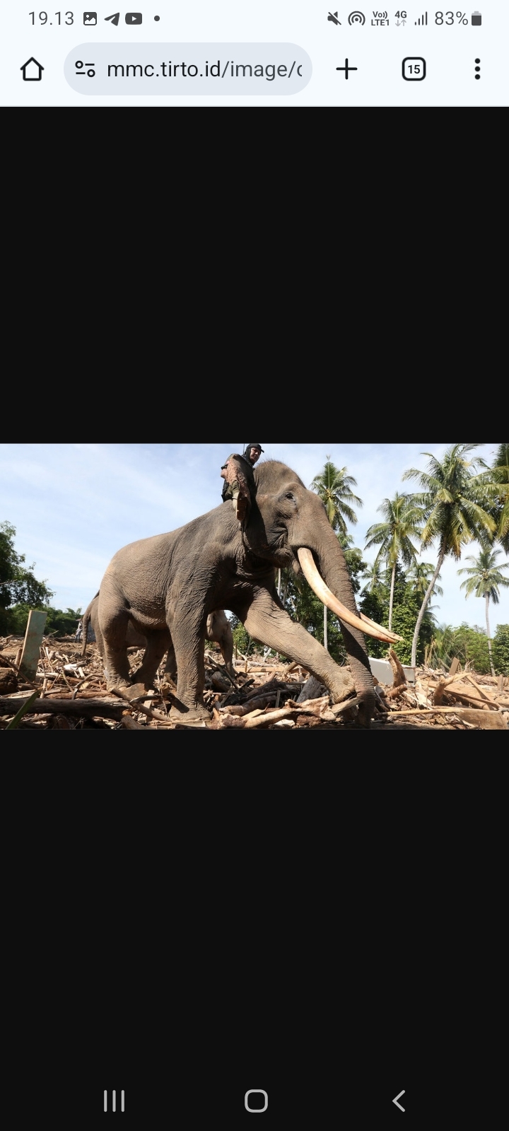 Miss Earth 2019 Lirabica Kecam Keras Penggunaan Gajah untuk Bersihkan Kayu Gelondongan di Aceh