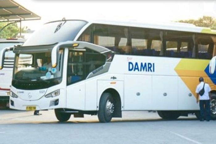 Asyik! DAMRI Buka Rute Jakarta-Denpasar, Tarifnya Cuma Rp 500 Ribuan, Cek Jadwal Keberangkatan dan Cara Pesan Tiketnya