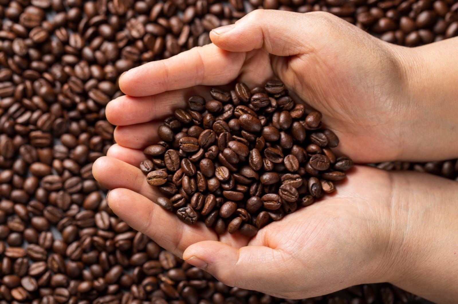 6 Kopi Indonesia yang Mengharumkan Nama Bangsa di Kancah Kopi Dunia