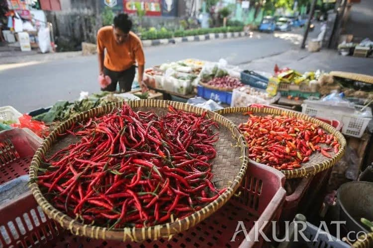 Sempat Melonjak Jelang Ramadhan, Gubernur Pramono Pastikan Harga Cabai Turun Tanpa Intervensi Pemprov