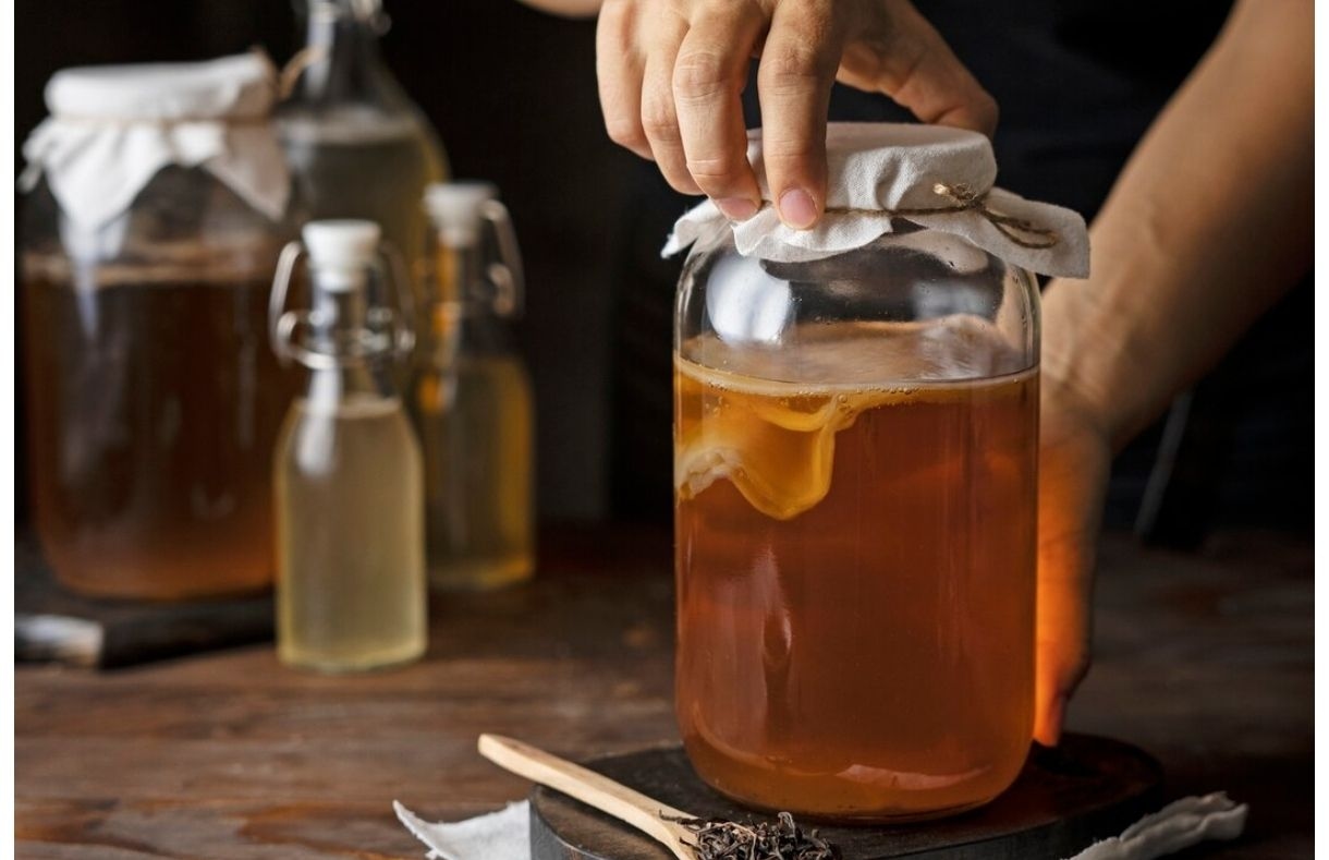 Kombucha, Minuman Fermentasi Populer yang Dipercaya Baik untuk Kesehatan Tubuh