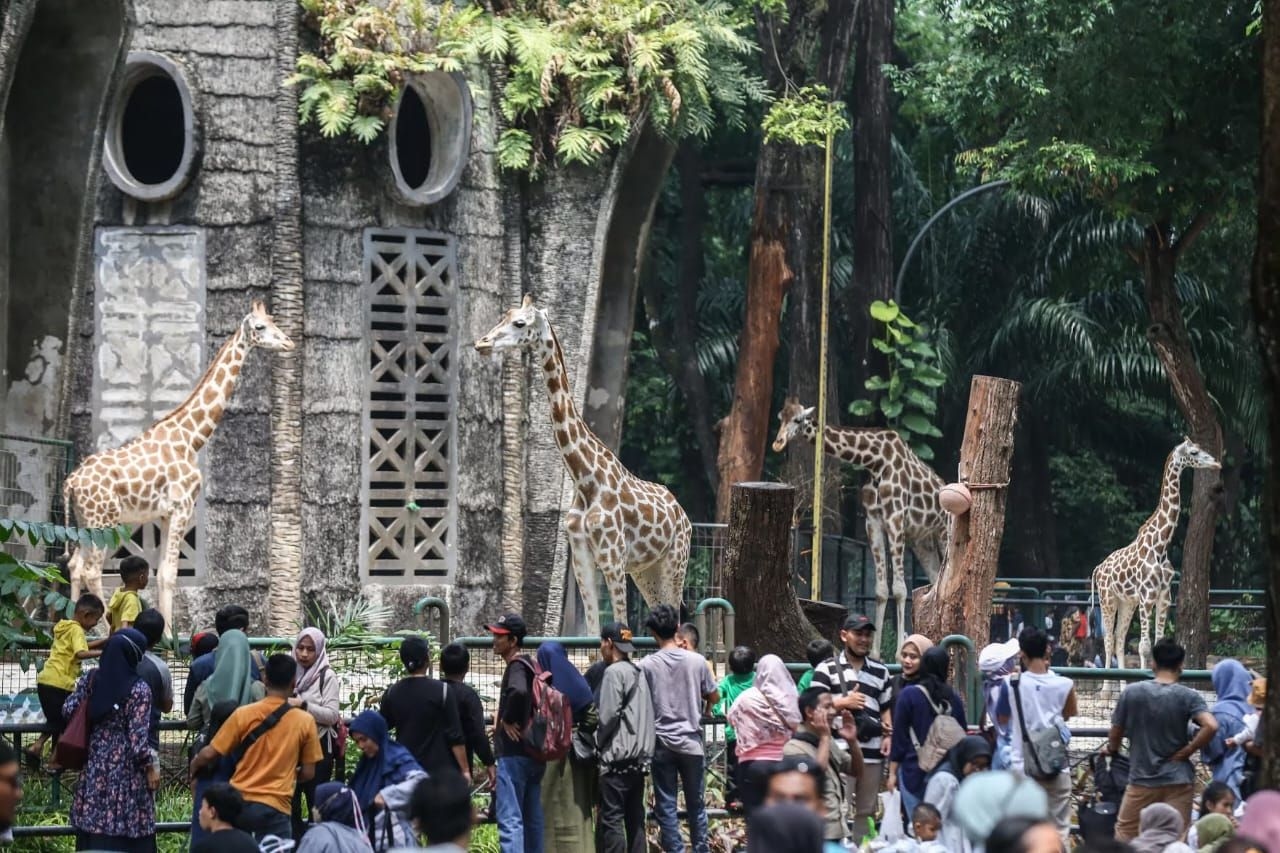 Tumplek Blek! 50.000 Orang Kunjungi Kebun Binatang Ragunan atau TMR di Hari Terakhir Libur Sekolah