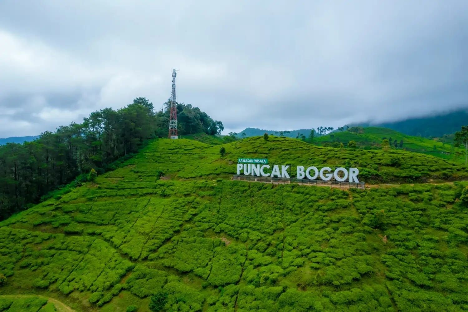 Menikmati Puncak Bogor, Wisata Alam Favorit dengan Strategi Anti Macet