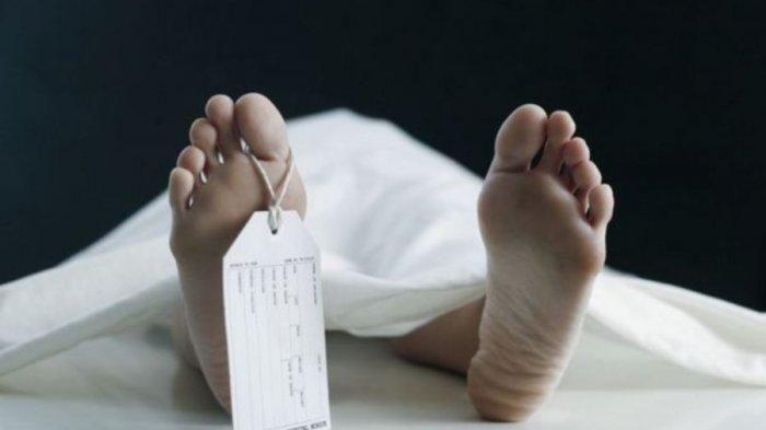 Polisi Ungkap Kronologi Penemuan Sopir Meninggal di Ruas Tol Jakarta-Cikampek