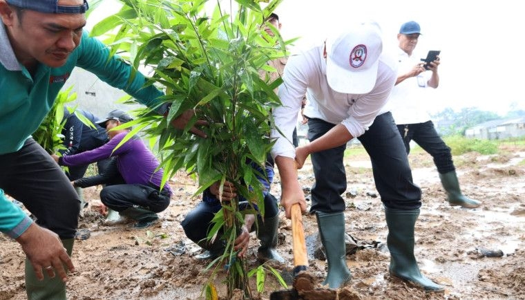 Komitmen Bangun Ruang Terbuka Hijau di Seluruh Kecamatan, Bupati Tangerang Memulai Tanam Bambu di RTH Cisoka