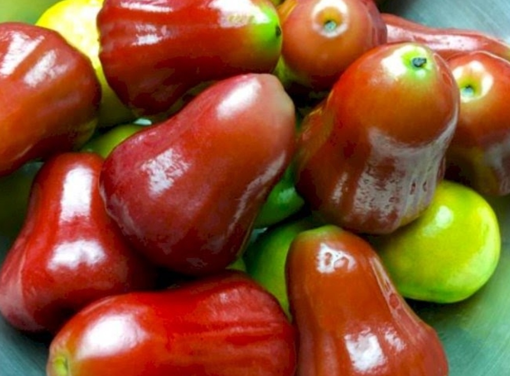 8 Manfaat Baik Jambu Air untuk Tubuh, Kontrol Diabetes hingga Kesehatan Gigi dan Tulang
